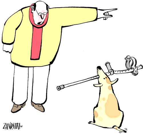 Dog with crutch.