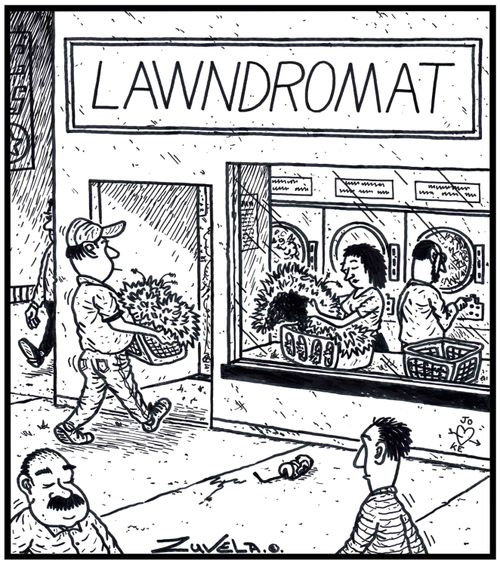 Lawndromat.