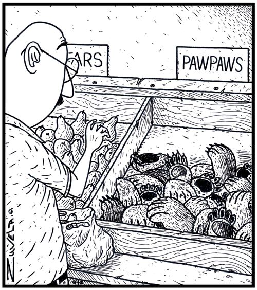 A man in a fruit shop shocked to see Pawpaws in the form of Animal paws
