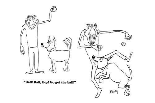 'Ball! Ball, Boy! Go get the ball!'