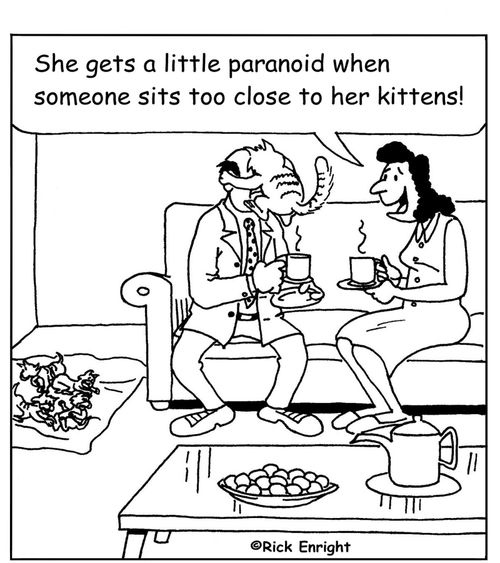 'She gets a little paranoid when someone sits too close to her kittens!'