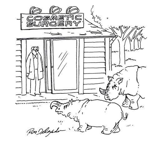 Safari cosmetic surgery.