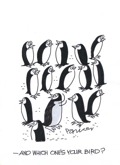 -and which one's your bird?
