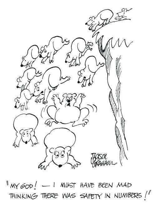 'My god ! - I must have been mad thinking there was safety in numbers !'