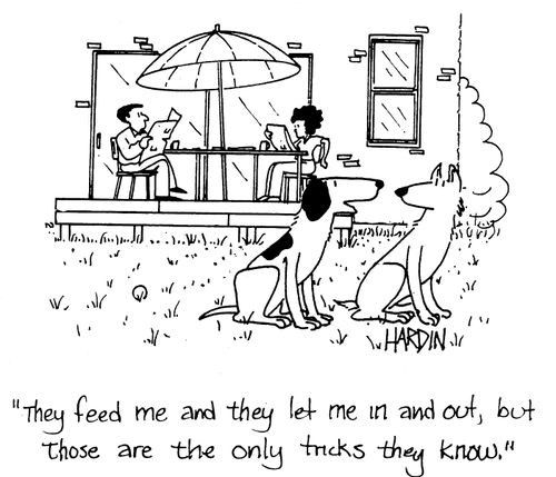 'They feed me and they let me in and out, but those are the only two tricks they know.'