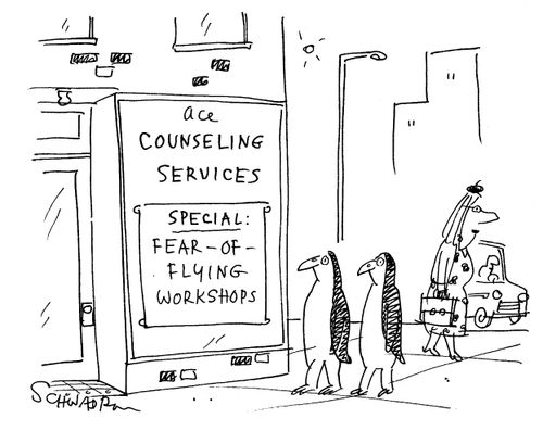Fear of Flying Workshops