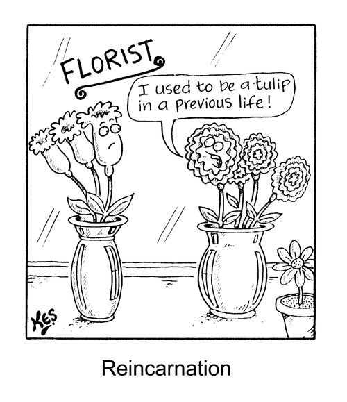 "I used to be a tulip in a previous life" - Reincarnation