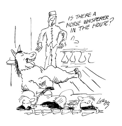 "Is there a Horse Whisperer in the house?"