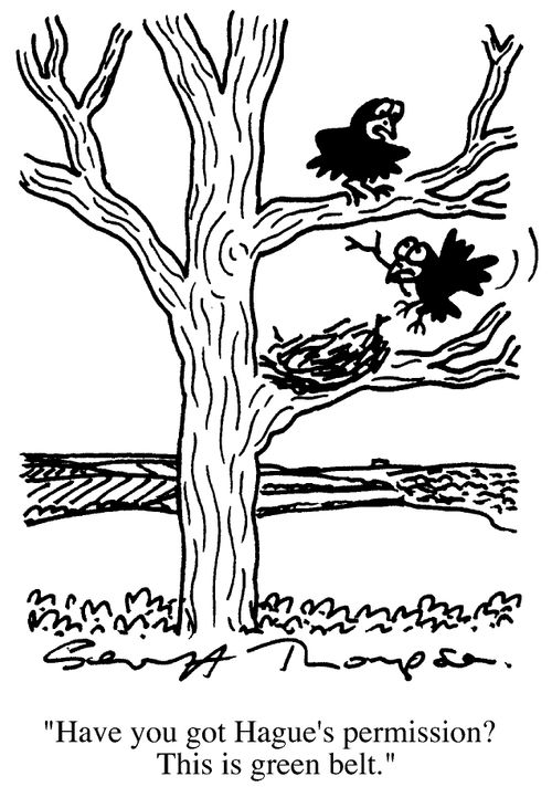 Bird Building a Nest,"Have you got permission? This is Green Belt