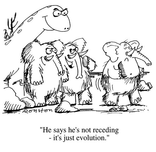 Dinosaur and mammoths, "He says he's not receding, it's just evolution."