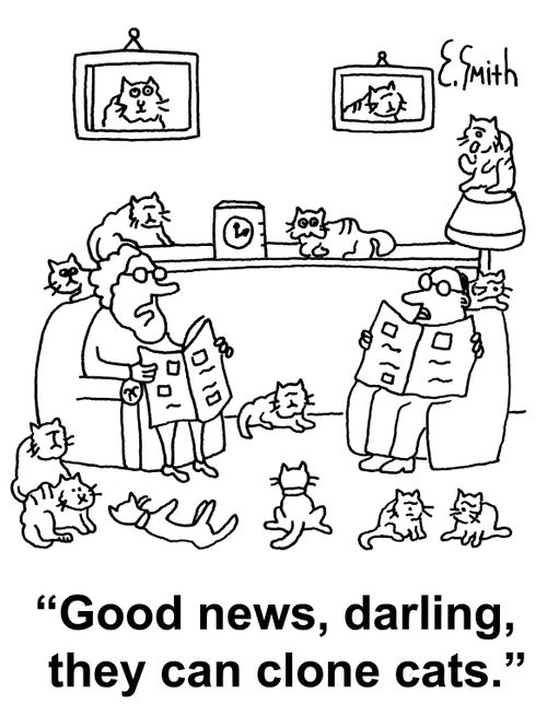 'Good news, Darling, they can clone cats.'