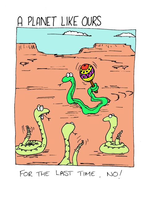 Wannabe rattlesnake.