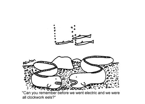 'Can you remember before we went electric and we were all clockwork eels?'