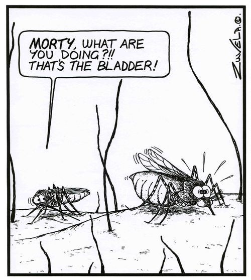 'MORTY,what are you doing?!! That's the BLADDER!