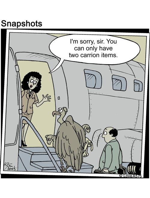'I'm sorry sir, you can only have two carrion items.'