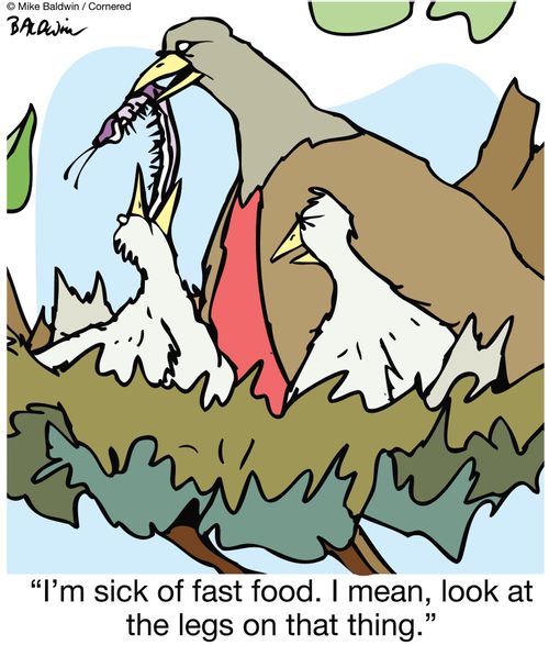 'I'm sick of fast food.  I mean, look at the legs on that thing.'