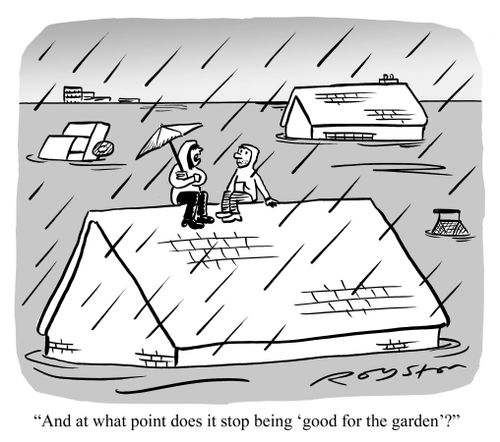 Couple sat on roof in flood. Woman says: 'And at what point does it stop being 'good for the garden'?'