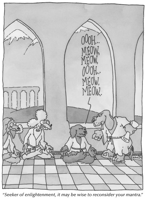 'Seeker of enlightenment, it may be wise to reconsider your mantra.'