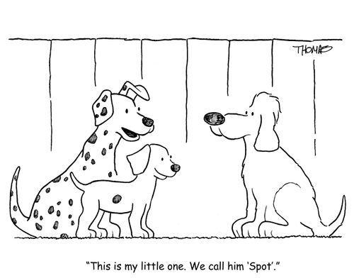 'This is my little one. We call him 'Spot'.'