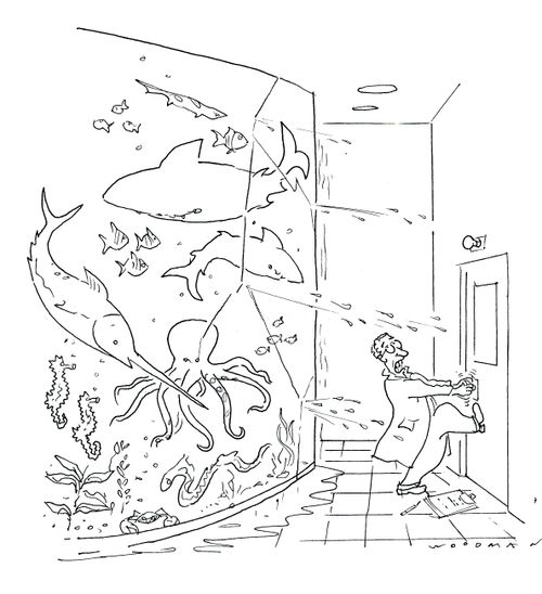 Leak in the fish tank.