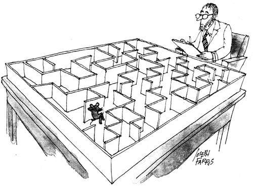 Mouse in a maze.