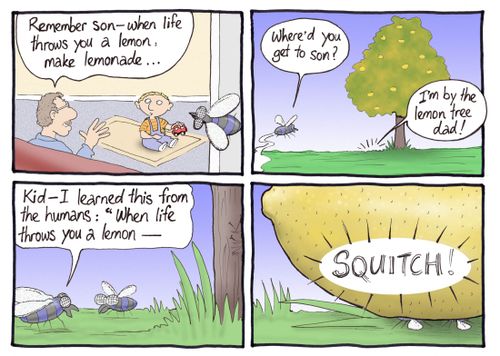 'Remember son...when life throws you a lemon, make lemonade.'