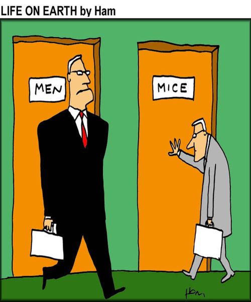 Men/Mice toilets.