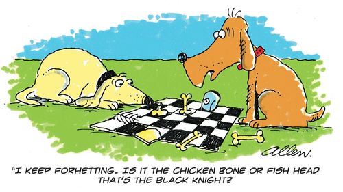 'I keep forgetting. Is it the chicken bone or fish head that's the Black Knight?'