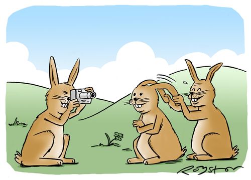 Rabbit pulls down fellow rabbit's ears as photo is taken, instead of making 'rabbit ears'.