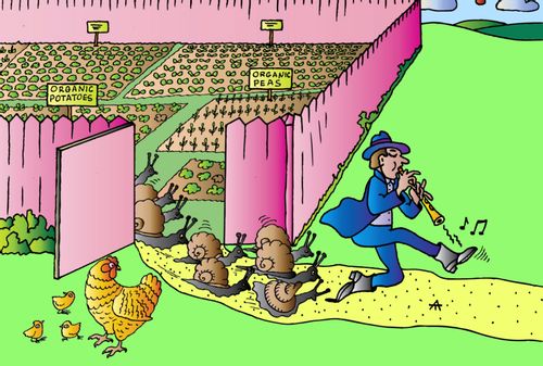 Organic gardening