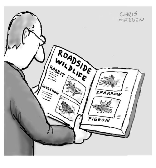 A book to help identify roadside wildlife