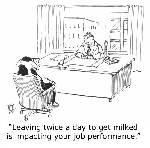 'Leaving twice a day to get milked is impacting your job performance.'
