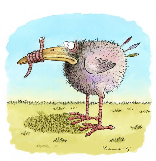 Duped chick
