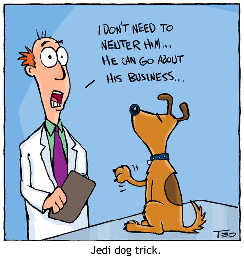 'I don't need to neuter him. He can go about his business.' A jedi dog trick.