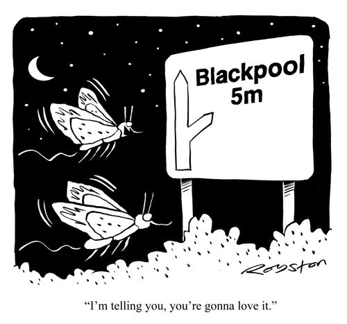 Moths fly to Blackpool for illuminations: 'I'm telling you, you're gonna love it.'