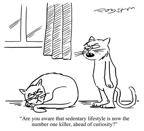 Cat says to lazy cat: 'Are you aware that sedentary lifestyle is now the number one killer, ahead of curiosity?'