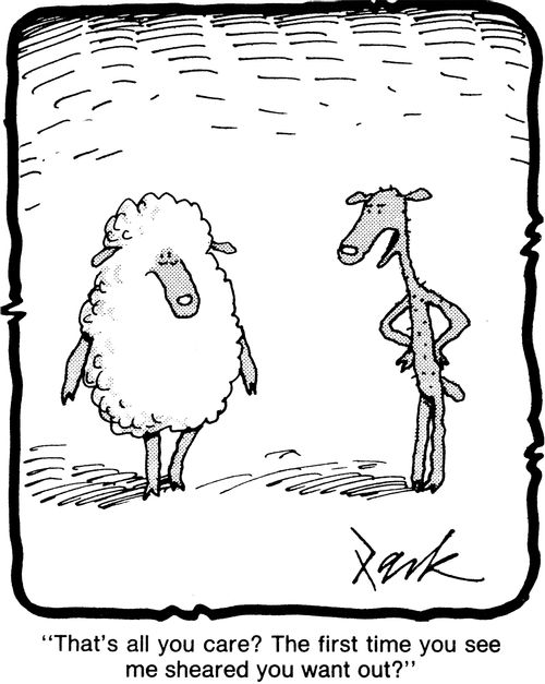 'That's all you care? The first time you see me sheared you want out?'