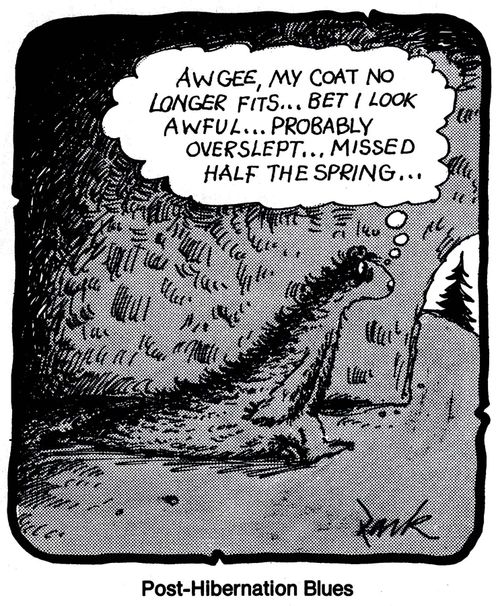 'Post-Hibernation Blues'