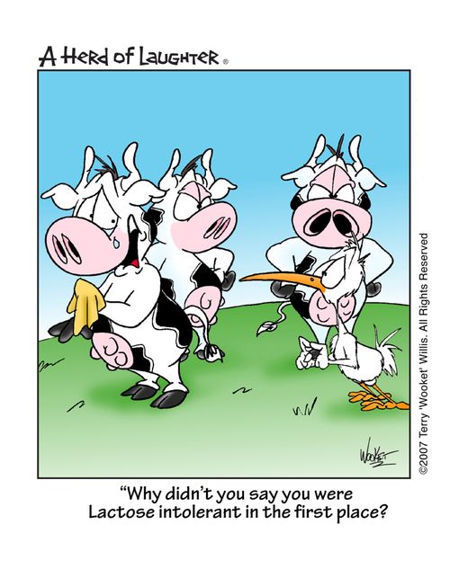 'Why didn't you say you were Lactose intolerant in the first place?'