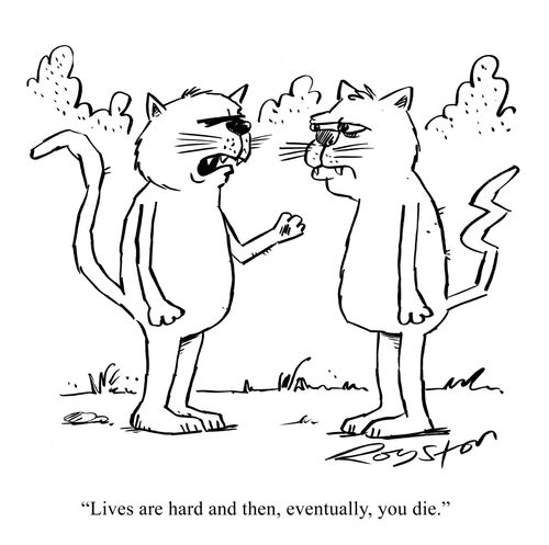 Depressed cat says: 'Lives are hard and then, eventually, you die.'