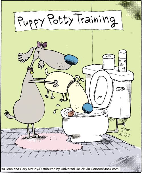 Puppy Potty Training.