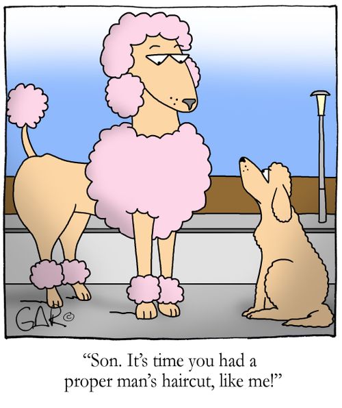 Son. It's time you had a proper man's haircut, like me!