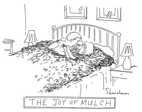"The Joy of Mulch"