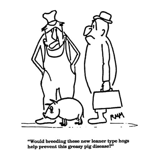 'Would breeding these new leaner type hogs help prevent this greasy pig disease?'
