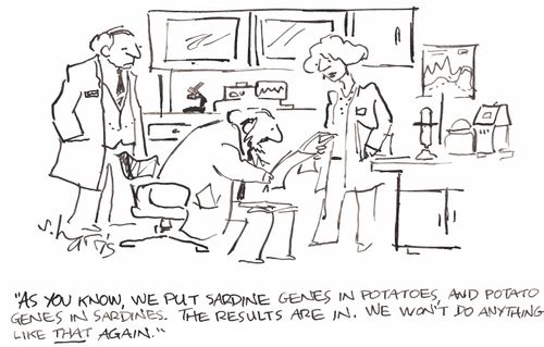 'As you know, we put sardine genes in potatoes, and potato genes in sardines.  The results are in. We won't do anything like that again.'