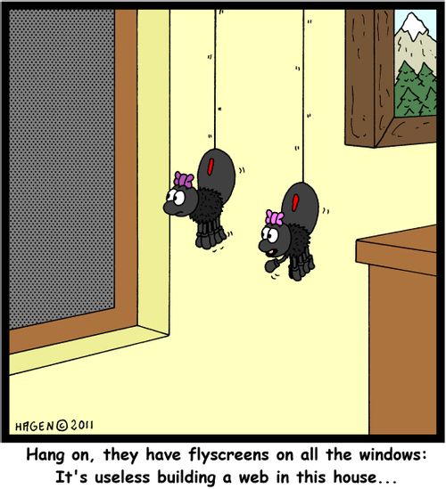 'Hang on, they have flyscreens on all the windows: It's useless building a web in this house...'