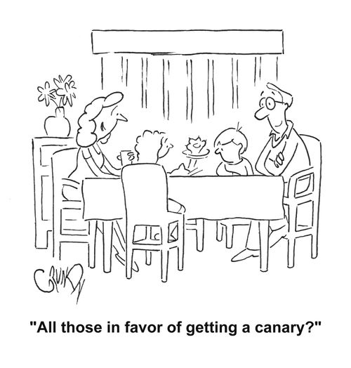 'All those in favor of getting a canary?'