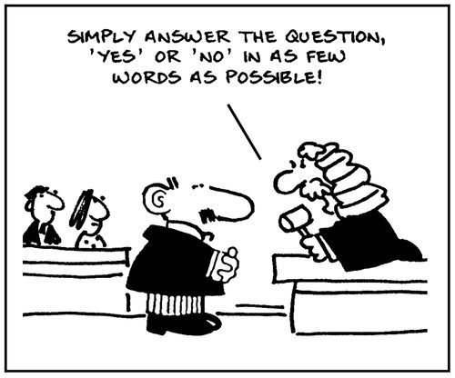 'Simply answer the question, yes or no, in as few words as possible.'