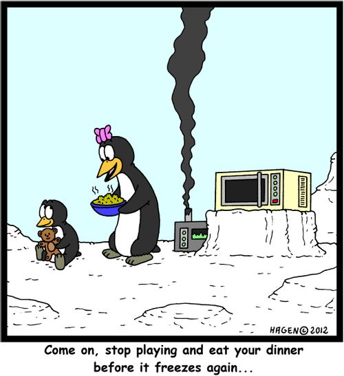 'Come on, stop playing and eat your dinner before it freezes again...'