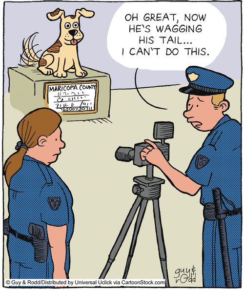 'Oh great, he's wagging his tail... I can't do this.'